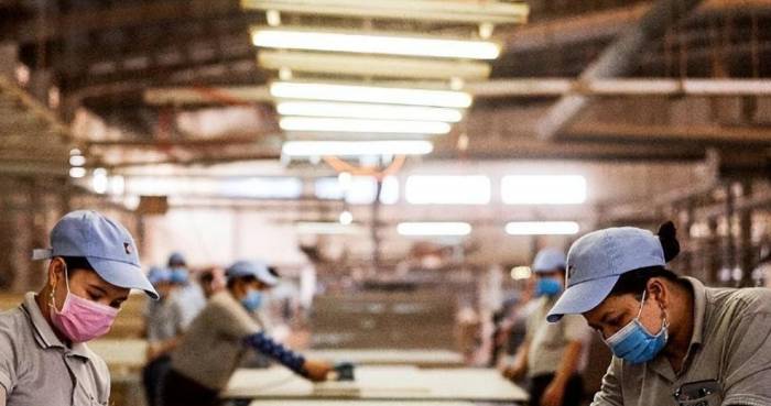 Chinese Phones Exit India: Orders Plummet 70%, Foxconn's Plant Nears Closure